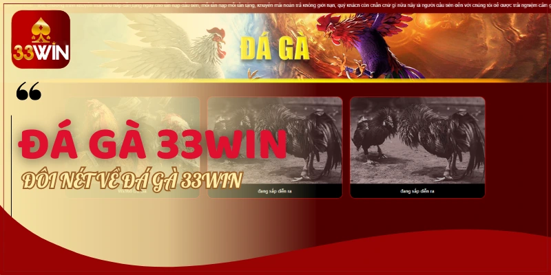 Đôi nét về Đá Gà 33WIN