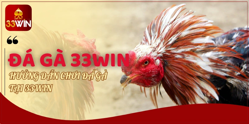 Thế mạnh thu hút của Đá Gà 33WIN