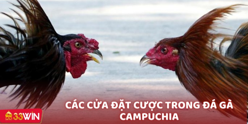 Trong đá gà Campuchia có 3 cửa cược chính